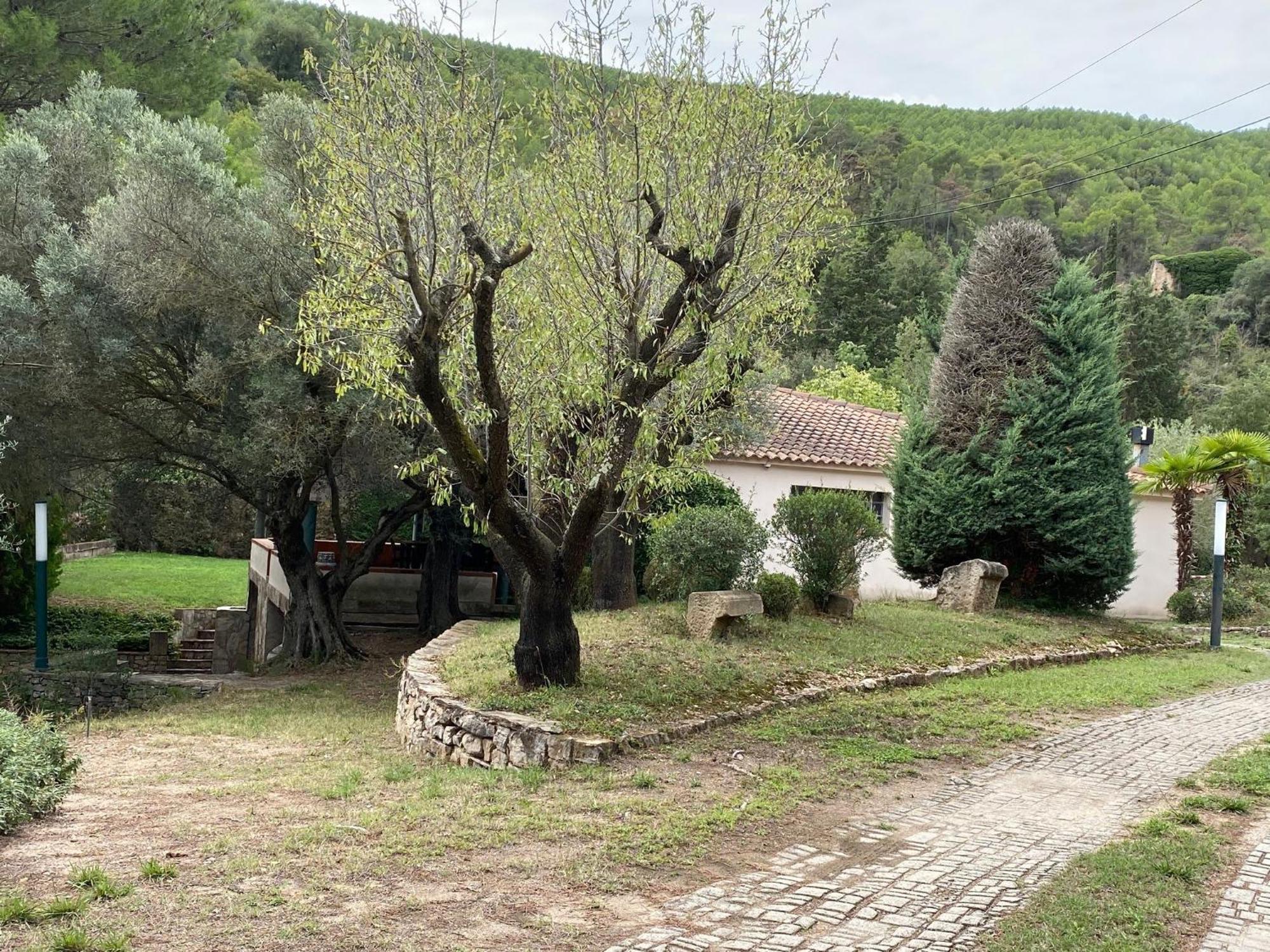 La Vinya De Mas Pujol Villa Suria Buitenkant foto